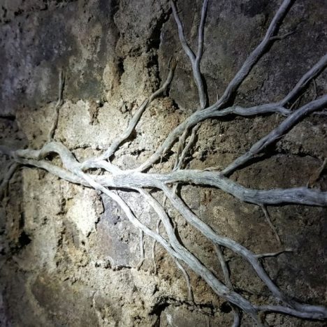 Comment reconnaître le calcaire dans l&rsquo;eau en 3 signes ?